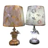 والمصابيح الزخرفة الحديثة هي عبارة عن مصابيح للضوء المبتعث للضوء Item Picture